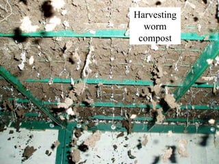 ©2008 Rodale institute
Harvesting
worm
compost
 