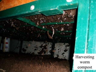 ©2008 Rodale institute
Harvesting
worm
compost
 