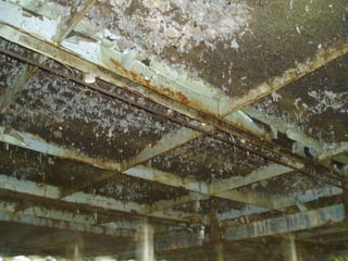 ©2008 Rodale institute
 