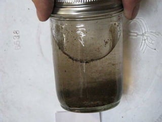 ©2008 Rodale institute
 