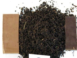 ©2008 Rodale institute
 