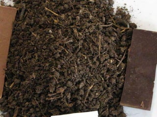 ©2008 Rodale institute
 