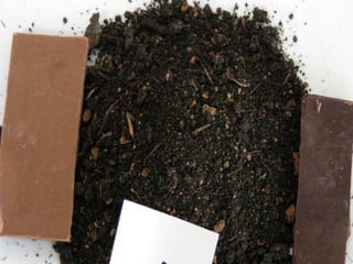 ©2008 Rodale institute
 