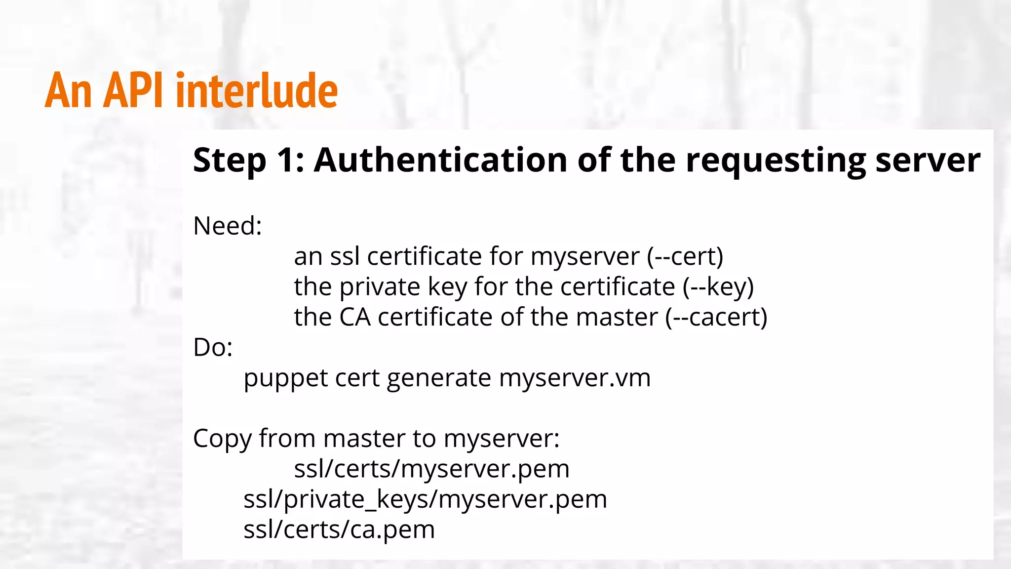 An API interlude
Step 1: Authentication of the requesting server
Need:
an ssl certificate for myserver (--cert)
the private key for the certificate (--key)
the CA certificate of the master (--cacert)
Do:
puppet cert generate myserver.vm
Copy from master to myserver:
ssl/certs/myserver.pem
ssl/private_keys/myserver.pem
ssl/certs/ca.pem
 