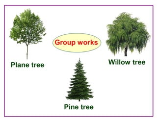 Where Are the Trees?