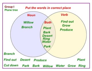 Where Are the Trees?