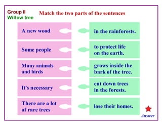 Where Are the Trees?