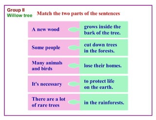 Where Are the Trees?