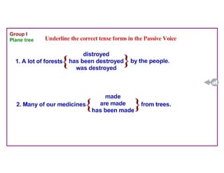 Where Are the Trees?