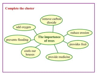 Where Are the Trees?