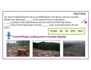 Where Are the Trees?