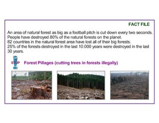 Where Are the Trees?