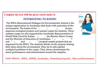 Where Are the Trees?