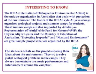 Where Are the Trees?