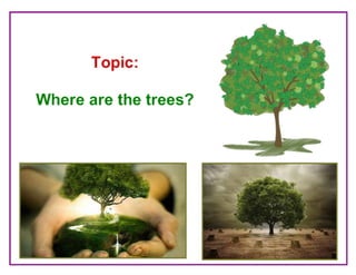 Where Are the Trees?