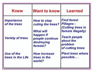 Where Are the Trees?