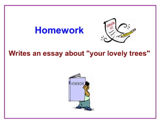 Where Are the Trees?