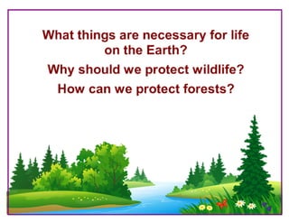 Where Are the Trees?