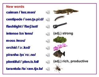 Where Are the Trees?