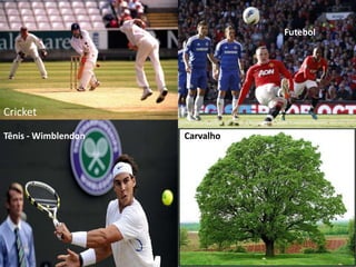 Futebol




Cricket
Tênis - Wimblendon   Carvalho
 