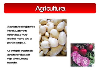 Agricultura A agricultura da Inglaterra é intensiva, altamente mecanizada e muito eficiente, mesmo para os padrões europeus.  Os principais produtos da agricultura inglesa são: trigo, cevada, batata, beterraba. 