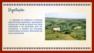 Vegetação:
A vegetação da Inglaterra é composta
pelas florestas temperadas, hoje bastante
reduzida em função do avanço das áreas
urbanizadas e da exploração para fins
econômicos, e também por formações
características da tundra, observadas nas
terras setentrionais
 