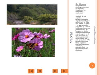 Hay diferentes
ecosistemas en
donde predominan
los bosques
templados, los
pantanos y
marismas.

Jhovan Guerrero Arvizu

FLORA

Algunas de las
especies
características de
Inglaterra en lo que
se refiere a su flora
son roble, el olmo
y el haya, se dice
que antes en las Isla
británicas había una
gran cantidad de
bosques en donde
predominaban estas
especies, pero en el
año 2000 tras un
alarmante estudio
se estableció que
solo quedaba el 10%
del patrimonio de
flora, según se
concluyo las causas
es la tala
descontrolada y el
crecimiento de las
ciudades.

5

 