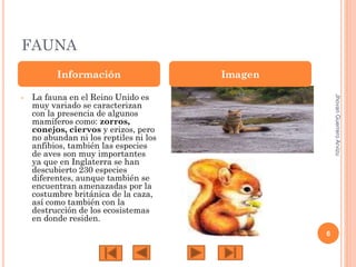 FAUNA
Información
La fauna en el Reino Unido es
muy variado se caracterizan
con la presencia de algunos
mamíferos como: zorros,
conejos, ciervos y erizos, pero
no abundan ni los reptiles ni los
anfibios, también las especies
de aves son muy importantes
ya que en Inglaterra se han
descubierto 230 especies
diferentes, aunque también se
encuentran amenazadas por la
costumbre británica de la caza,
así como también con la
destrucción de los ecosistemas
en donde residen.

Jhovan Guerrero Arvizu

•

Imagen

6

 