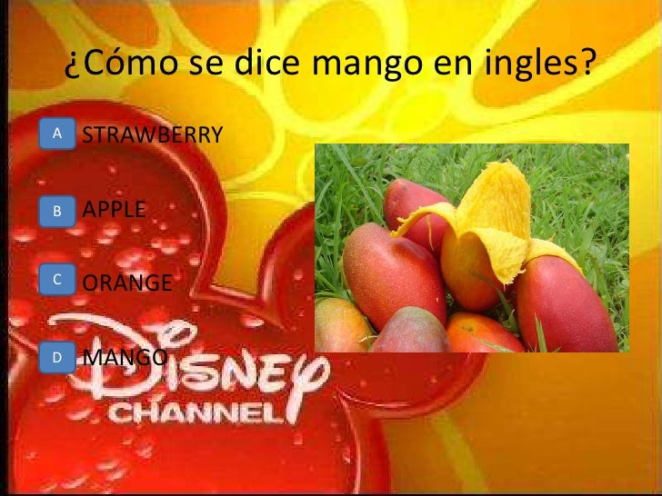Ingles Patricia Valença Artesanato ~ Ingles