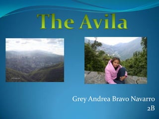 Grey Andrea Bravo Navarro
                      2B
 