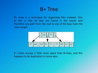 B+ Tree | PPT