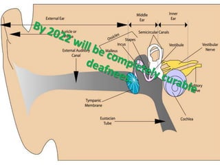 predictions