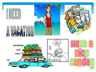 savannas
pad
cases
car

We are free.

 