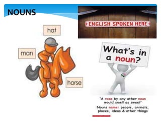 NOUNS

 