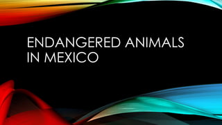 ENDANGERED ANIMALS
IN MEXICO
 