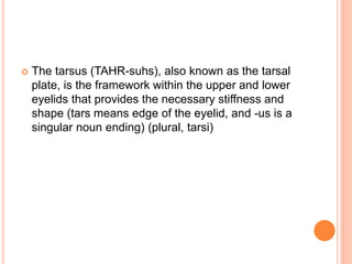  The tarsus (TAHR-suhs), also known as the tarsal
plate, is the framework within the upper and lower
eyelids that provides the necessary stiffness and
shape (tars means edge of the eyelid, and -us is a
singular noun ending) (plural, tarsi)
 