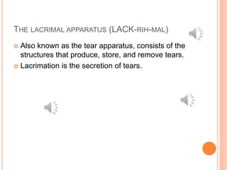 THE LACRIMAL APPARATUS (LACK-RIH-MAL)
 Also known as the tear apparatus, consists of the
structures that produce, store, and remove tears.
 Lacrimation is the secretion of tears.
 