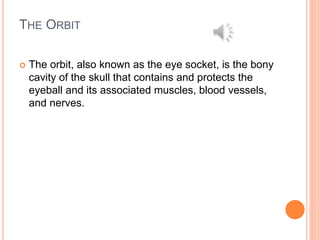 THE ORBIT
 The orbit, also known as the eye socket, is the bony
cavity of the skull that contains and protects the
eyeball and its associated muscles, blood vessels,
and nerves.
 