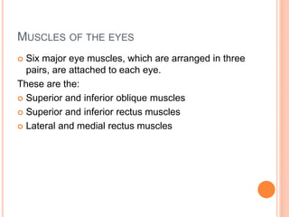 MUSCLES OF THE EYES
 Six major eye muscles, which are arranged in three
pairs, are attached to each eye.
These are the:
 Superior and inferior oblique muscles
 Superior and inferior rectus muscles
 Lateral and medial rectus muscles
 