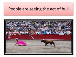 People are seeing the act of bull
 