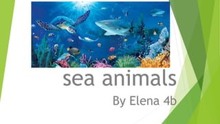 sea animals
sea animals
By Elena 4b
 