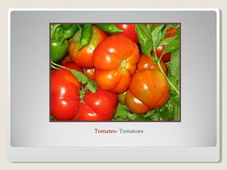 Tomates -  Tomatoes 