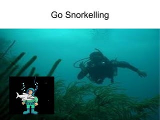 Go Snorkelling 