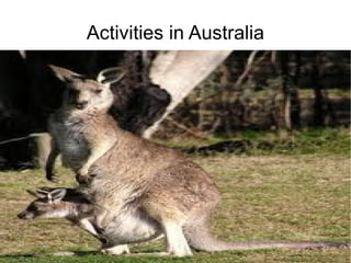 Activities in Australia 