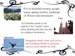For its beautiful women, people
warm, spring weather, landscape
of flowers and mountains
MEDELLIN
CALI
In Colombia stands as the
capital of the "rumba" street
party, dancing and salsa, but also
as a religious destination.
PACIFICO
Humpback whales come each year to
the Colombian Pacific to procreate
and sea turtles inhabit the wild.
 