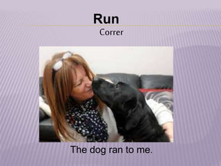 Run
Correr
The dog ran to me.
 
