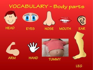VOCABULARY – Body parts
TUMMY
EYES NOSE MOUTH
ARM HAND
HEAD
LEG
EAR