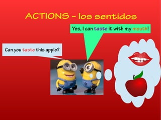 ACTIONS – los sentidos
Can you taste this apple?
Yes, I can taste it with my mouth!