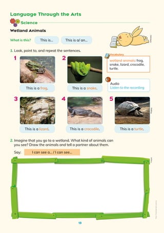18
Science
Language Through the Arts
1. Look, point to, and repeat the sentences.
2. Imagine that you go to a wetland. What kind of animals can
you see? Draw the animals and tell a partner about them.
Wetland Animals
wetland animals: frog,
snake, lizard, crocodile,
turtle.
Vocabulary
What is this? This is… This is a/ an…
This is a frog.
This is a crocodile.
This is a lizard.
This is a snake.
This is a turtle.
1
4
3
2
5
Say: I can see a… / I can see… Pixabay
Freepik
Audio
Listen to the recording
©Mineduc
Non-Commercial
Licence
 