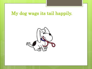 My dog wags its tail happily.